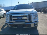 Ford F150 1FTMF1EPXGKD39990 снимка