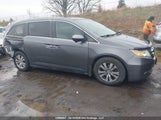 Honda Odyssey Ex-L 5FNRL5H68EB509427 снимка