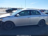 Toyota Corolla Le 2T1BU4EE0AC211778 снимка