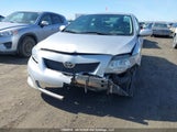 Toyota Corolla Le 2T1BU4EE0AC211778 снимка
