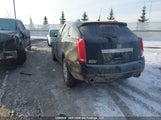 Cadillac Srx Luxury 3GYFNEE33ES606818 снимка