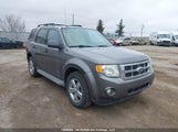 Ford Escape Xlt 1FMCU9DG7AKC21142 снимка