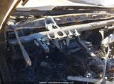 BMW 323I WBAPG7C57BA795018 photo