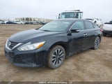 Nissan Altima 2.5/S/Sv/Sl/Sr 1N4AL3AP3GC151910 fotografie