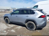 Toyota Rav4 Xle 2T3R1RFV4NC304612 снимка