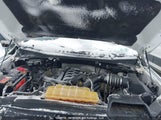 Ford F-150 Xlt 1FTFW1EFXHKD98748 снимка