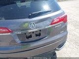 Acura Rdx Technology 5J8TB4H52JL806356 снимка
