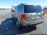 Honda Pilot Ex-L 5FNYF4H51BB504702 fotografie
