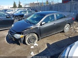 Toyota Corolla S/Le 2T1BU4EE8DC072164 снимка