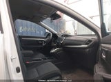Honda Cr-V Lx 2HKRW1H27NH001500 photo