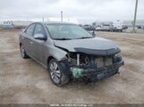 Kia Forte Ex KNAFU4A21D5671124 снимка