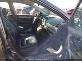 Honda Cr-V Exl 5J6RE487X9L804961 photo