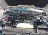 Ford F-150 Xlt 1FTEW3LP9RKE77977 photo