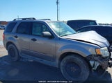 Ford Escape 1FMCU93158KE44304 fotografie