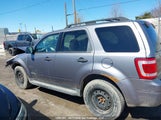 Ford Escape 1FMCU93158KE44304 fotografie