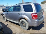 Ford Escape 1FMCU93158KE44304 fotografie