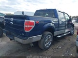 Ford F-150 Fx4/Harley-Davidson/Lariat/Xlt 1FTFW1EV3AFA23600 снимка