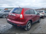 Honda Cr-V 5J6RE48777L816286 снимка