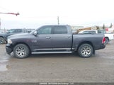 Ram  Longhorn 1C6RR7PM6GS416073 fotografie
