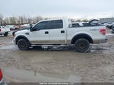 Ford F-150 1FTFW1EFXCFB48962 fotografie