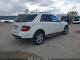 Mercedes-Benz Ml 320 Cdi 4JGBB22E88A436538 снимка