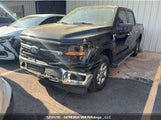 Ford F-150 Xlt 1FTFW3L5XRKD69189 fotografie