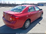 Toyota Corolla Ce 2T1BU40E79C100812 fotografie