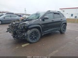 Jeep Cherokee Trailhawk 1C4PJMBXXMD143341 снимка