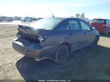 Toyota Corolla Ce/Le/S 2T1BR32E43C724843 снимка