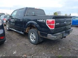 Ford F150 Supercrew 1FTFW1EF0CFC05508 снимка
