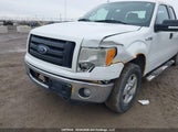 Ford F-150 Stx 1FTEX1CM4EFA72412 снимка