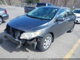 Toyota Corolla Ce 2T1BU4EE0AC404755 снимка
