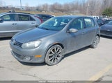 Volkswagen Golf 2.0 Tdi Comfortline/2.0 Tdi Highline/Wolfsburg Edition 2.0 Tdi WVWDM7AJ5DW065919 photo