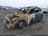 Toyota Rav4 Xle/Woodland Edition 2T3RWRFV9SW295109 fotografie