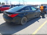 Hyundai Sonata Gls 5NPEB4AC7DH624953 снимка