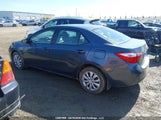 Toyota Corolla Le 2T1BURHE0GC558819 снимка