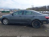 Toyota Camry Ce/Le/Xle/Se 4T1BE46K07U537511 fotografie