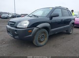 Hyundai Tucson KM8JM12D56U430179 снимка