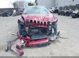 Jeep Cherokee 1C4PJMDS0GW112657 fotografie