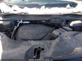 Honda Passport Trail Sport 5FNYF8H6XSB501118 снимка