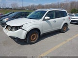 Subaru Forester 2.5X Premium JF2SHCDC0DG412733 снимка