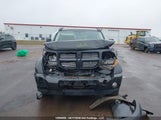 Dodge Nitro Sxt 1D4PU5GK1AW125047 fotografie