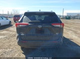 Toyota Rav4 Xle/Xle Premium 2T3R1RFV9LC106122 photo