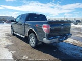 Ford F150 Supercrew 1FTFW1ET3BFC24414 снимка