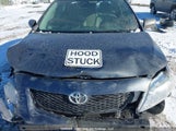 Toyota Corolla S/Le/Xle 2T1BU4EE2AC252199 снимка