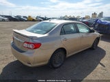 Toyota Corolla Le 2T1BU4EE7DC003207 fotografie