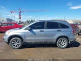 Honda Cr-V Lx 5J6RE38368L800296 fotografie