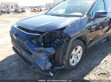 Toyota Rav4 Xle/Xle Premium 2T3R1RFV5LC094311 fotografie