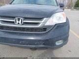 Honda Cr-V 5J6RE3H32BL800478 снимка