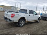 Ford F150 Supercrew 1FTFW1EF1DFB77655 снимка